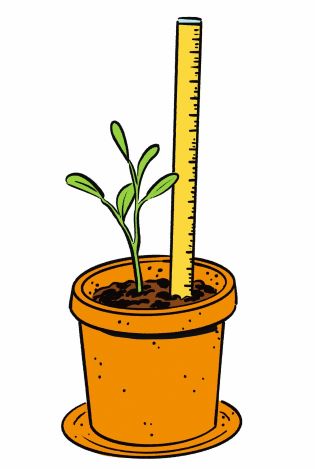 Illustrasjon av en potteplante.